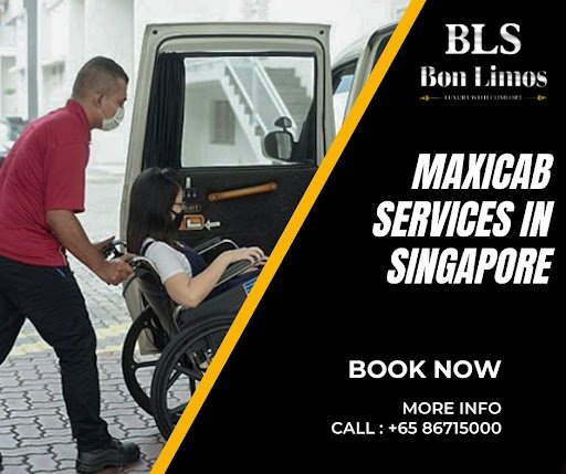 Maxi Cab Services